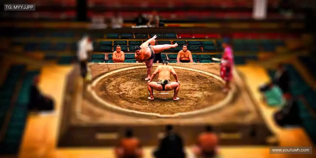 💪专业装备，品质之选！🏋️提升性能，超越自我！